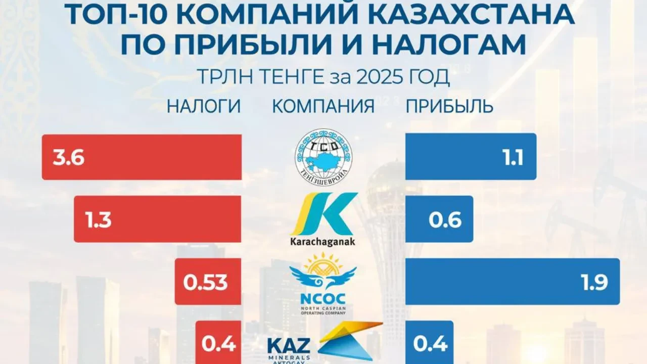 Сколько налогов платят крупные компании в Казахстане?